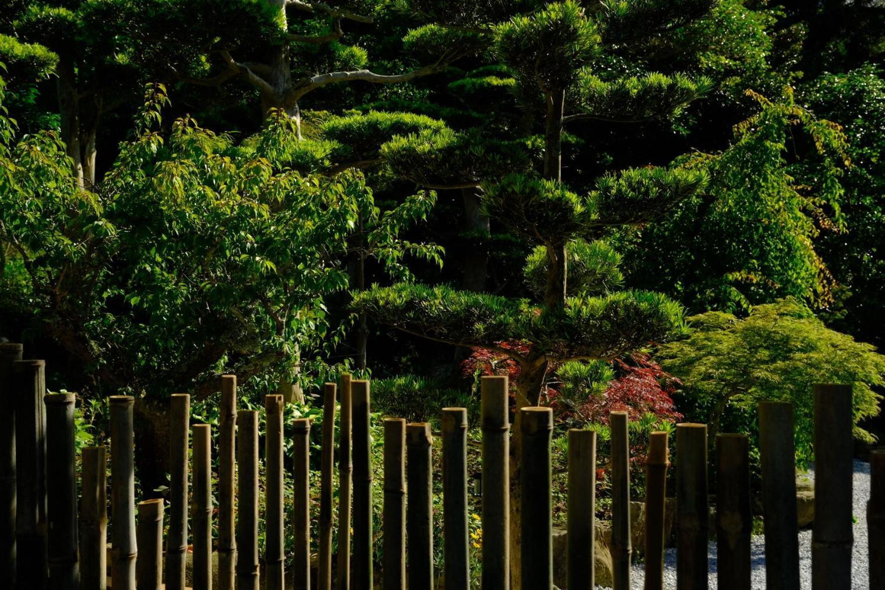 伊都山海渓 Itoshima Esterno foto