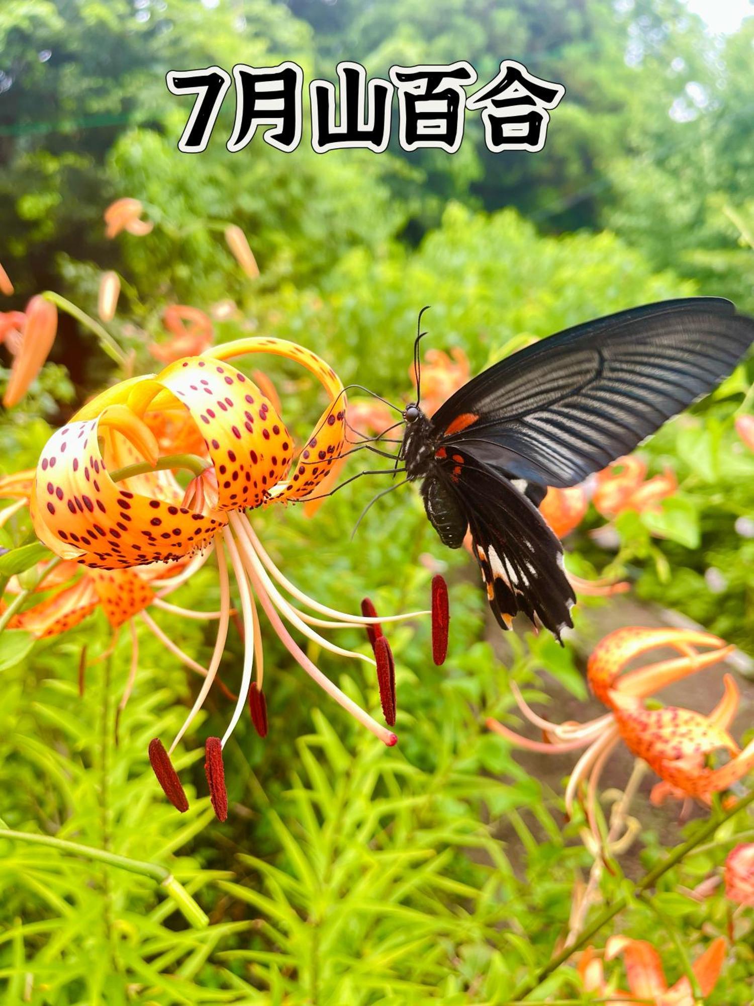 伊都山海渓 Itoshima Esterno foto