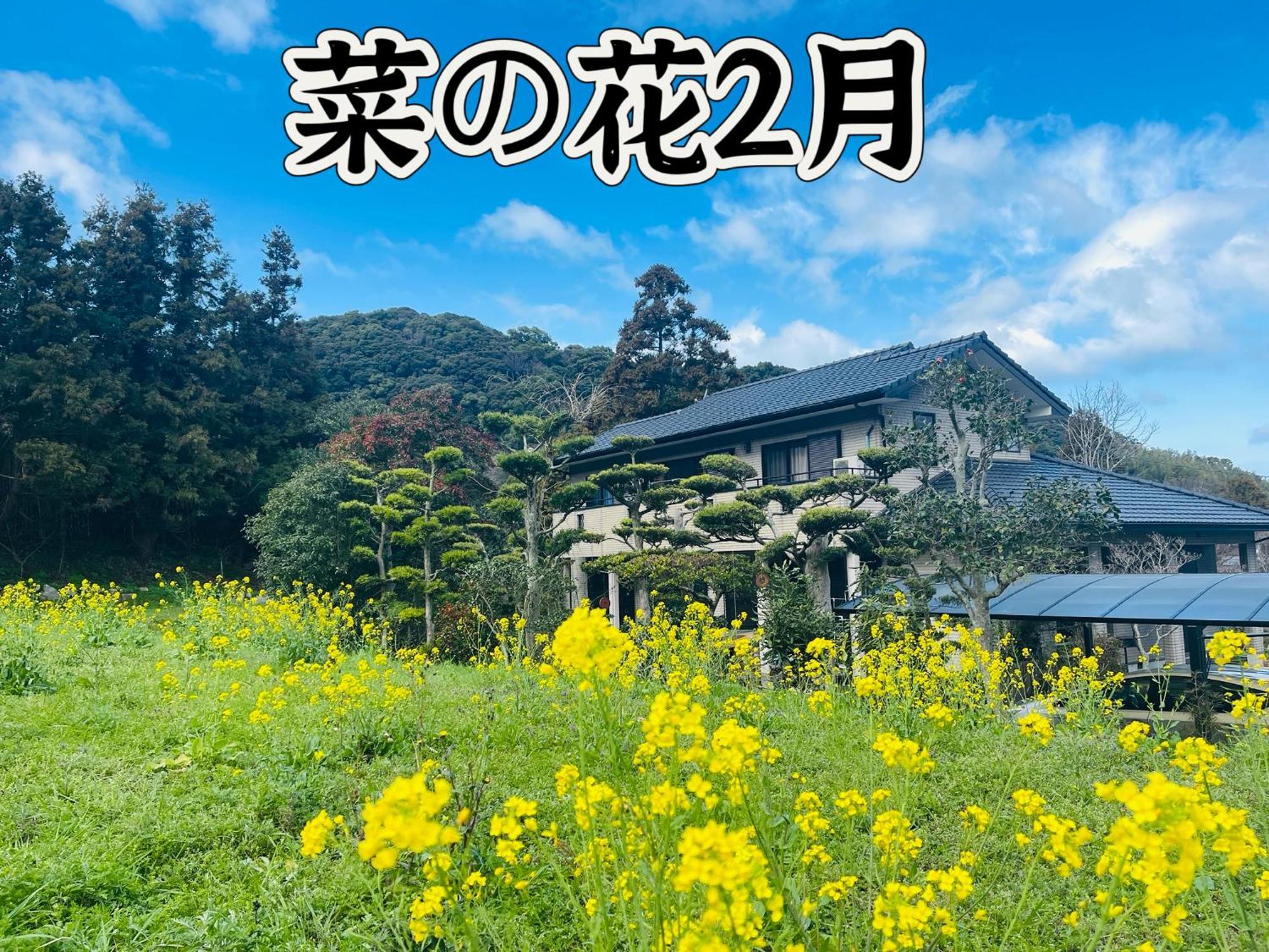 伊都山海渓 Itoshima Esterno foto